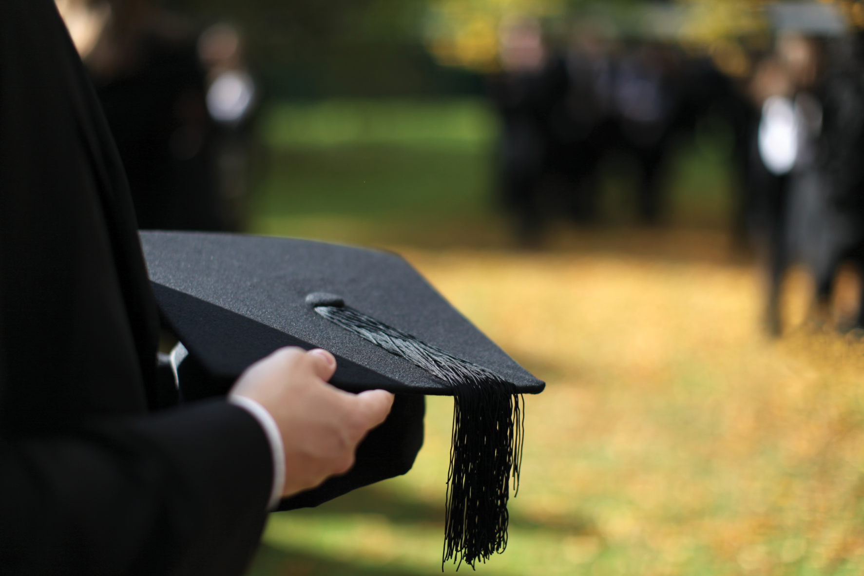 graduate holding graduation cap